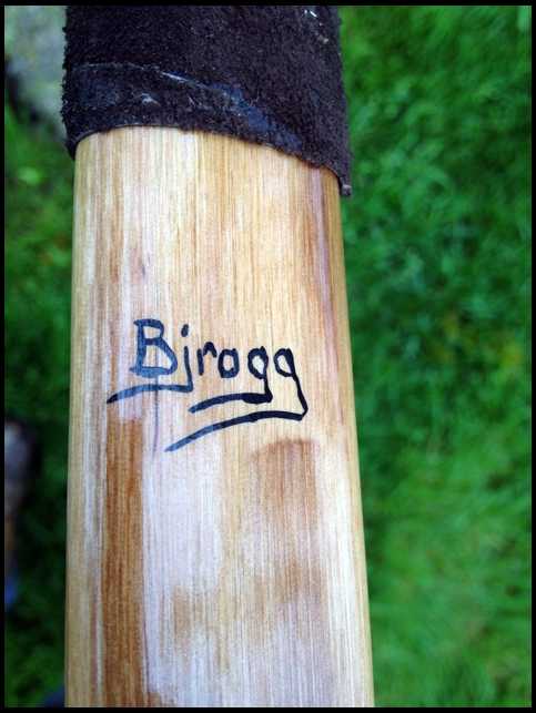 Bjrogg's embedded Photo