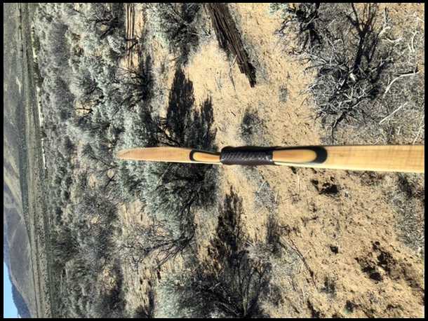 trad_bowhunter1965's embedded Photo